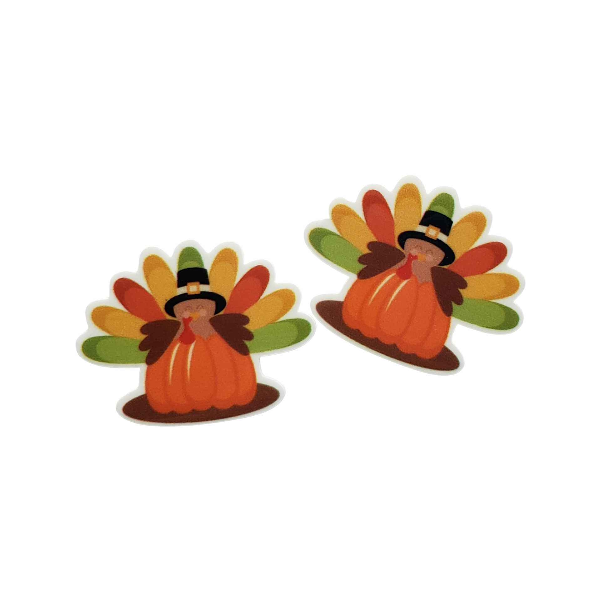 2pc Pumpkin Turkey Planar Resin