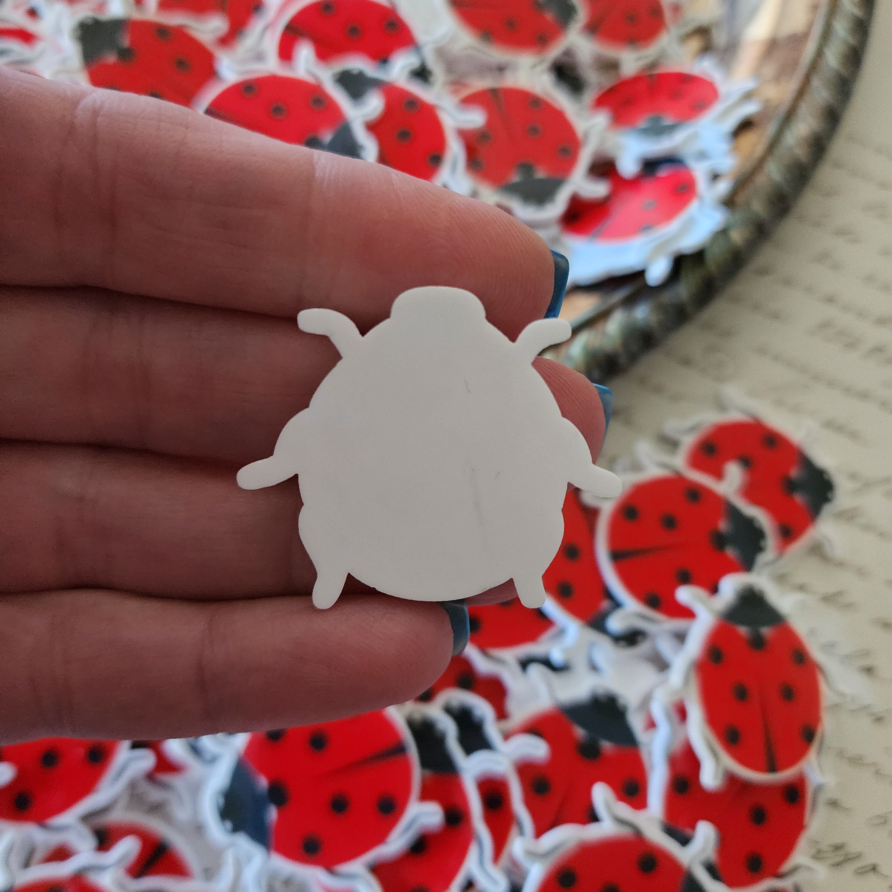 2pc Ladybug Planar Resin C