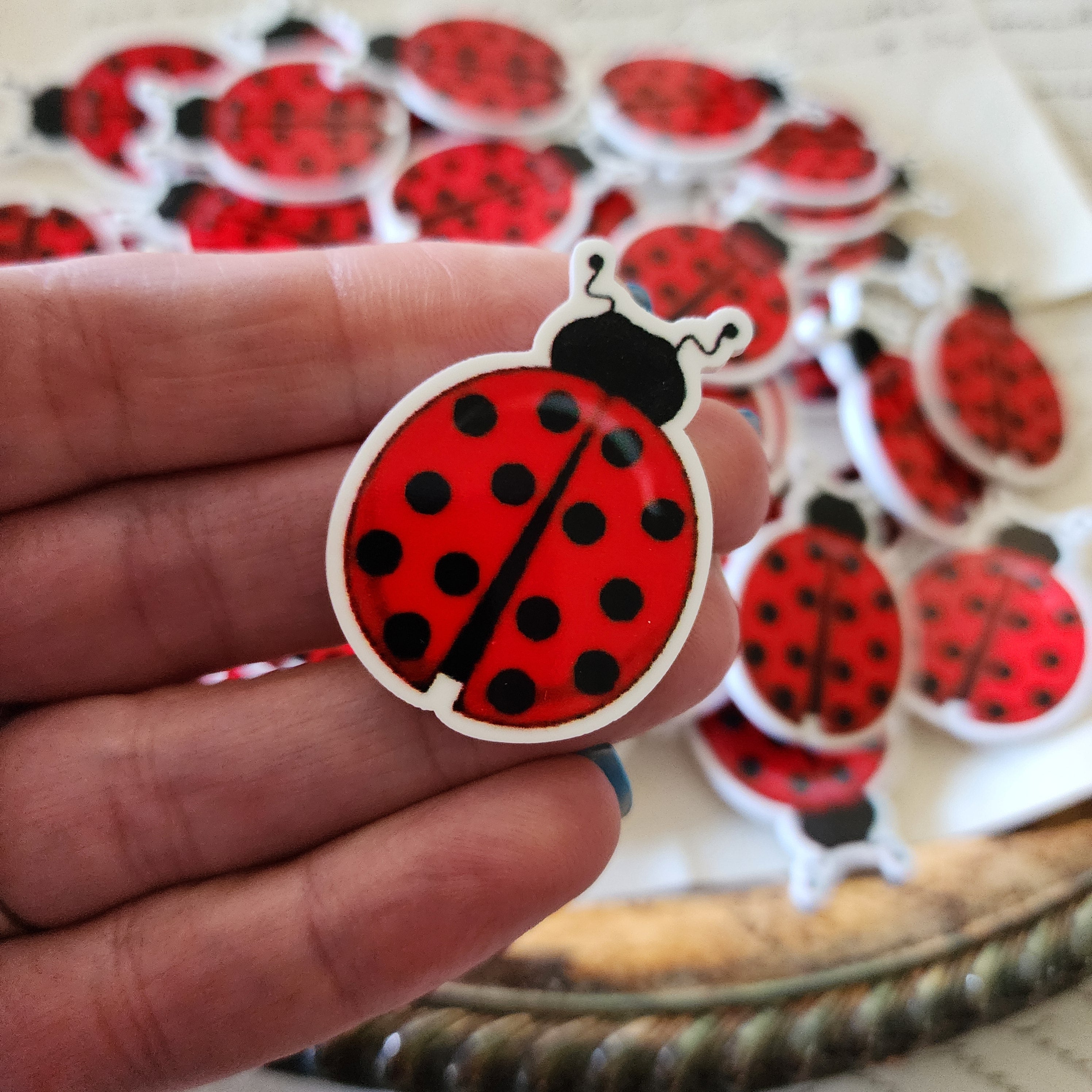 2pc Ladybug Planar Resin B