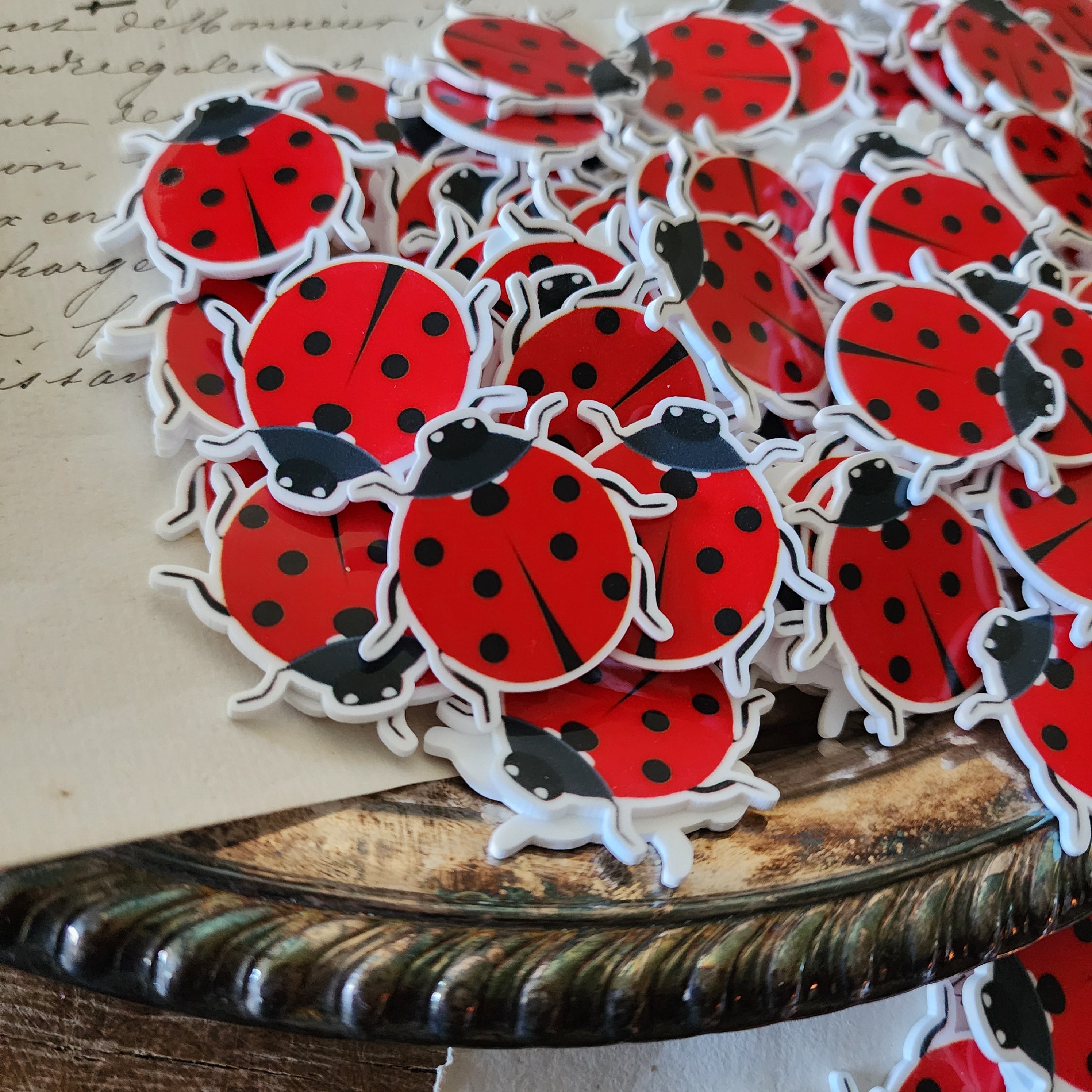 2pc Ladybug Planar Resin C