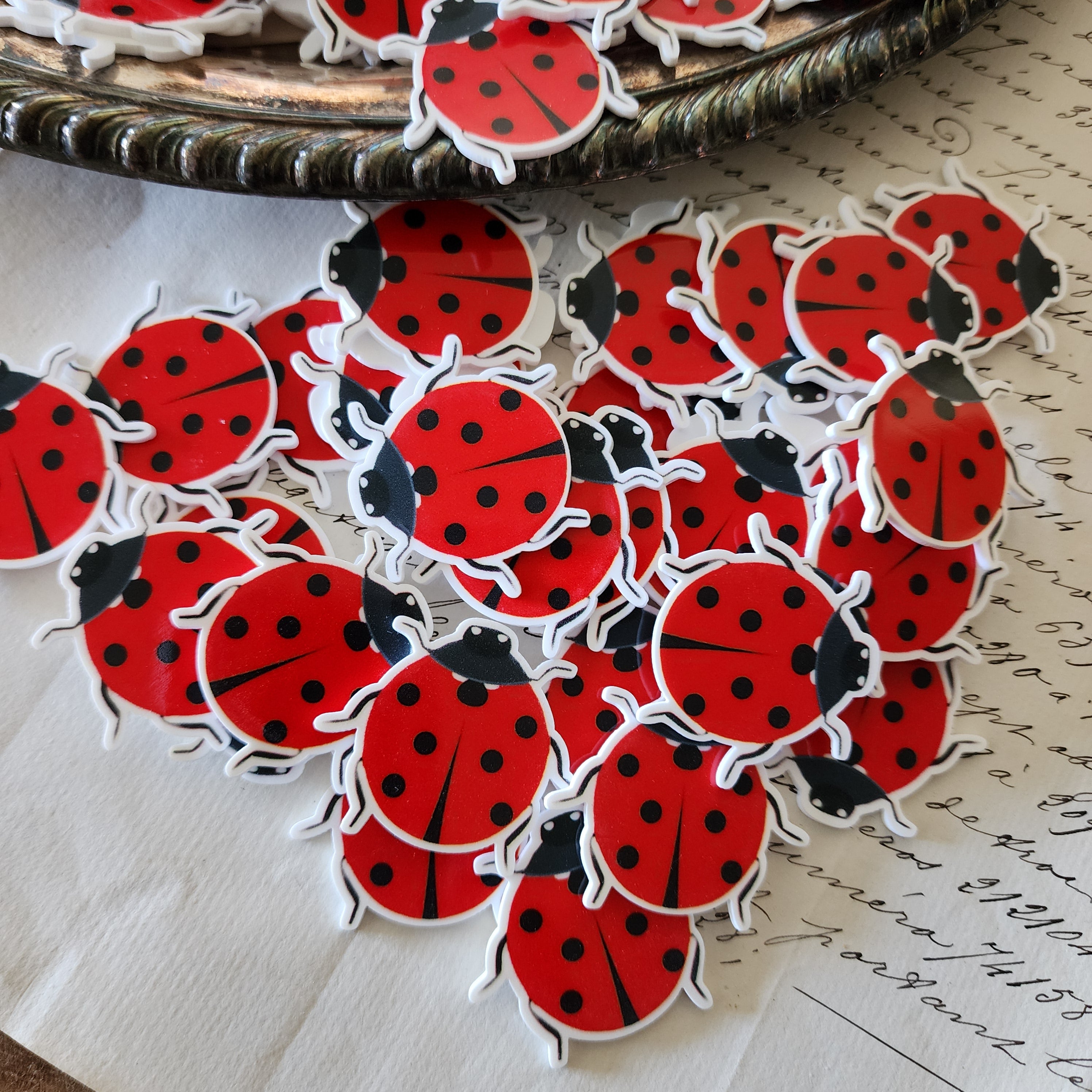 2pc Ladybug Planar Resin C