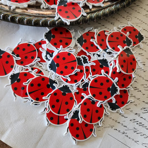 2pc Ladybug Planar Resin C