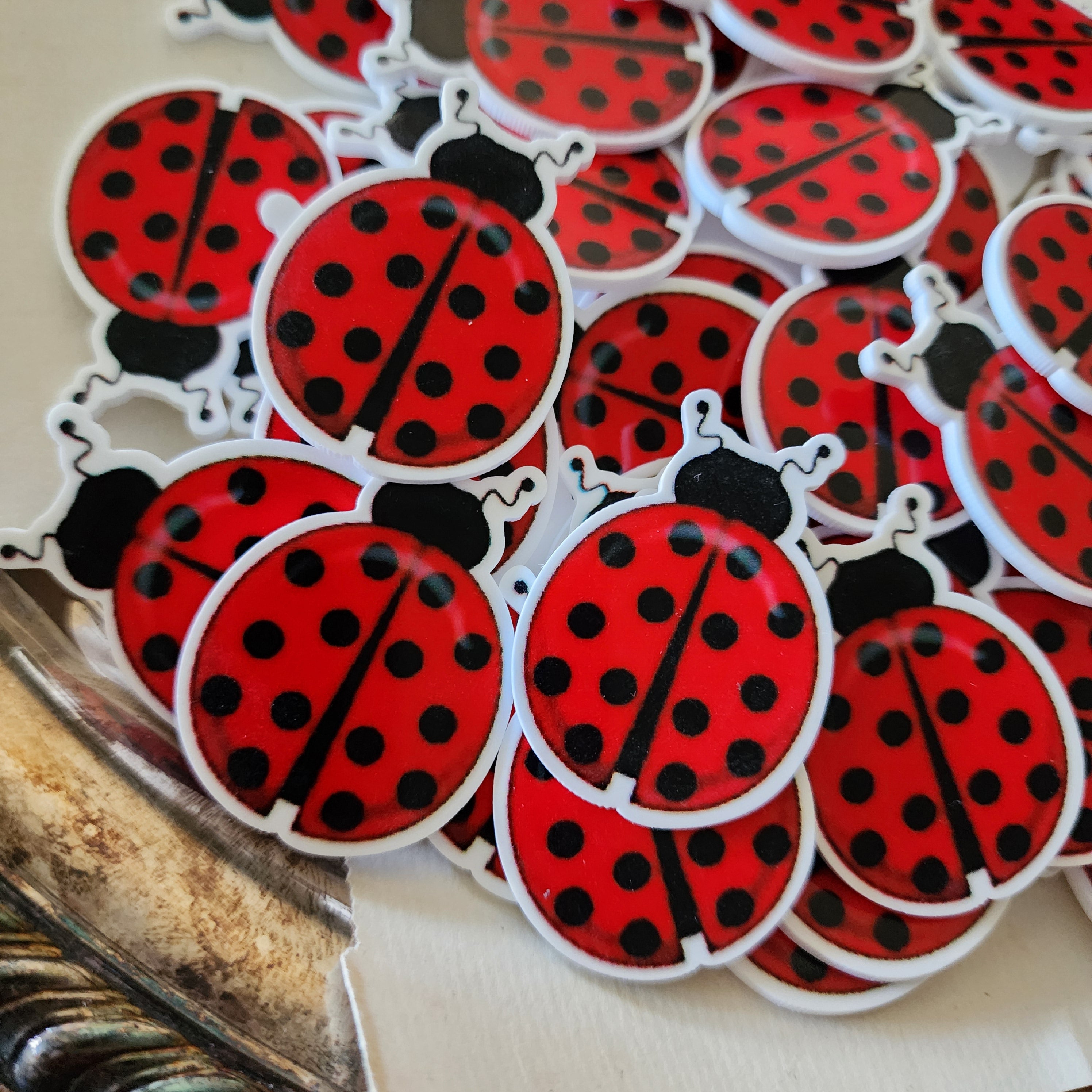 2pc Ladybug Planar Resin B