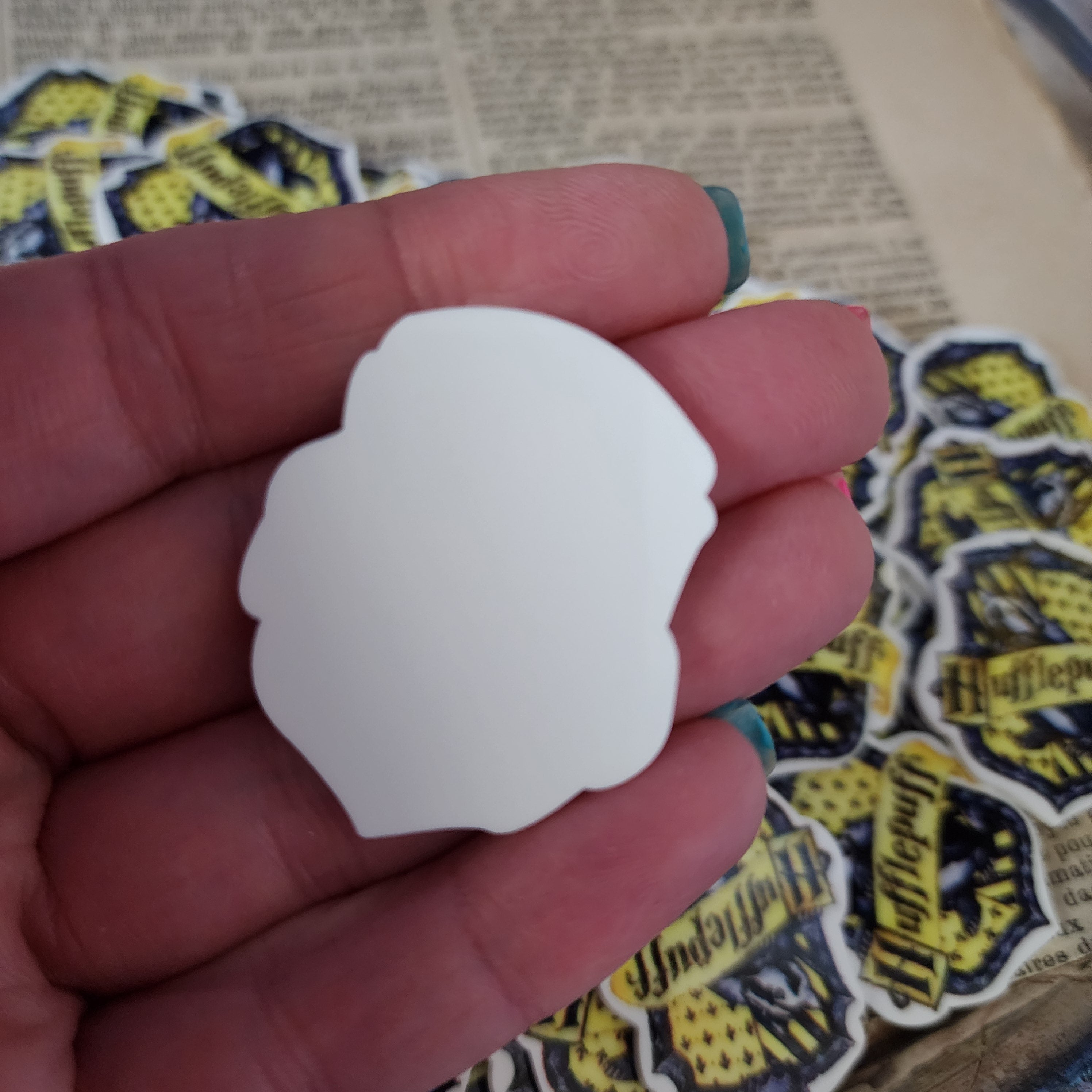 2pc House of the Badger Planar Resin