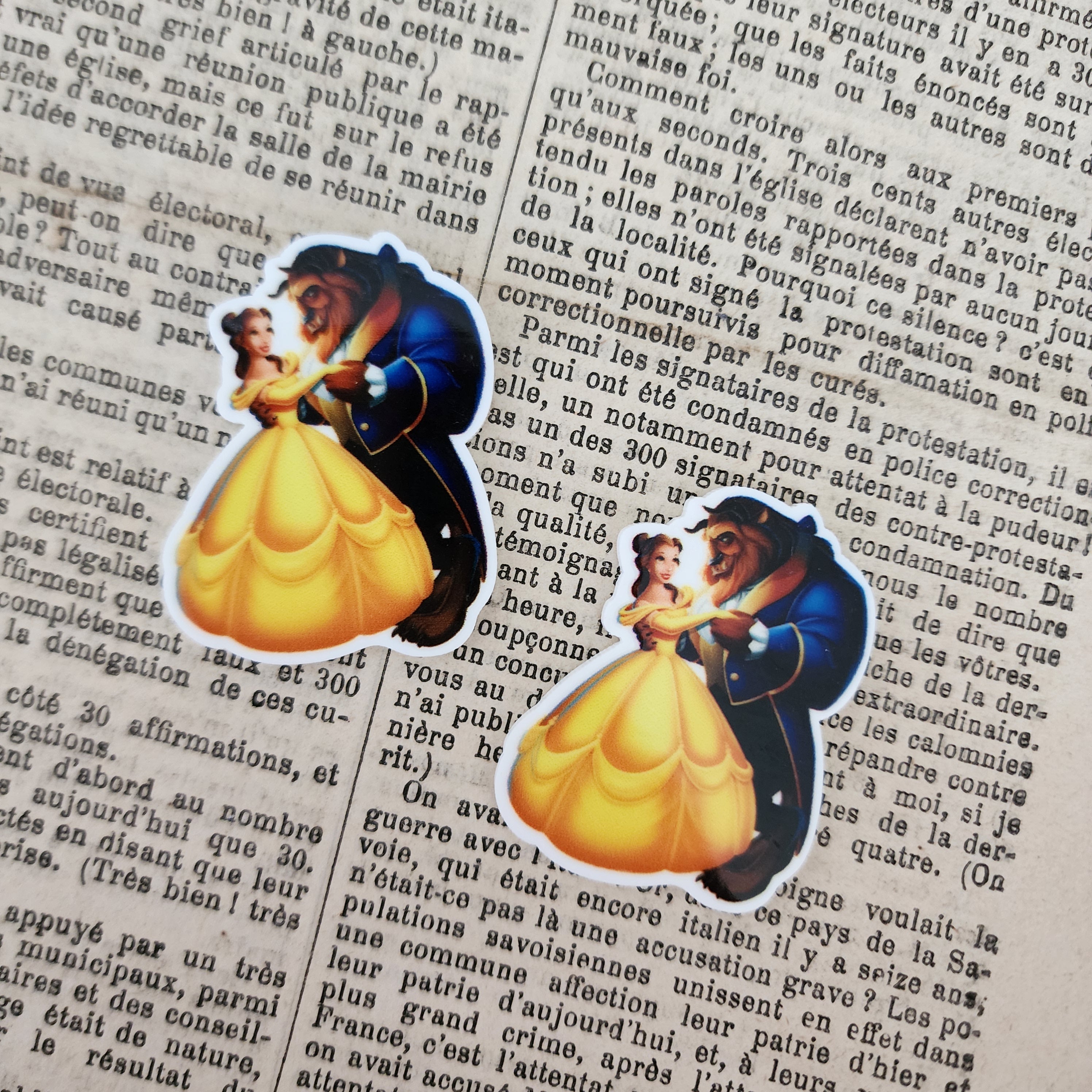 2pc Beauty and Her Beast Planar Resin