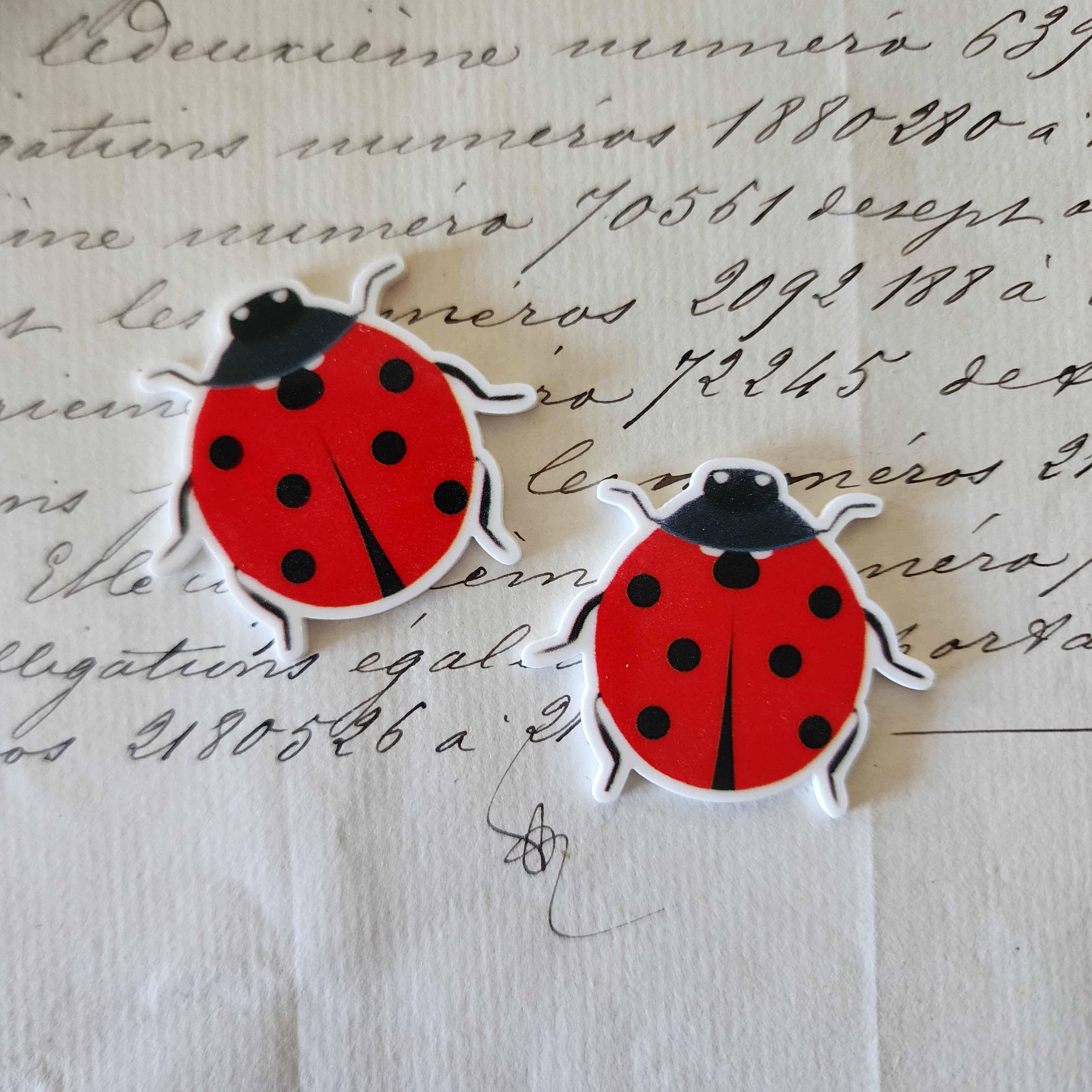 2pc Ladybug Planar Resin C