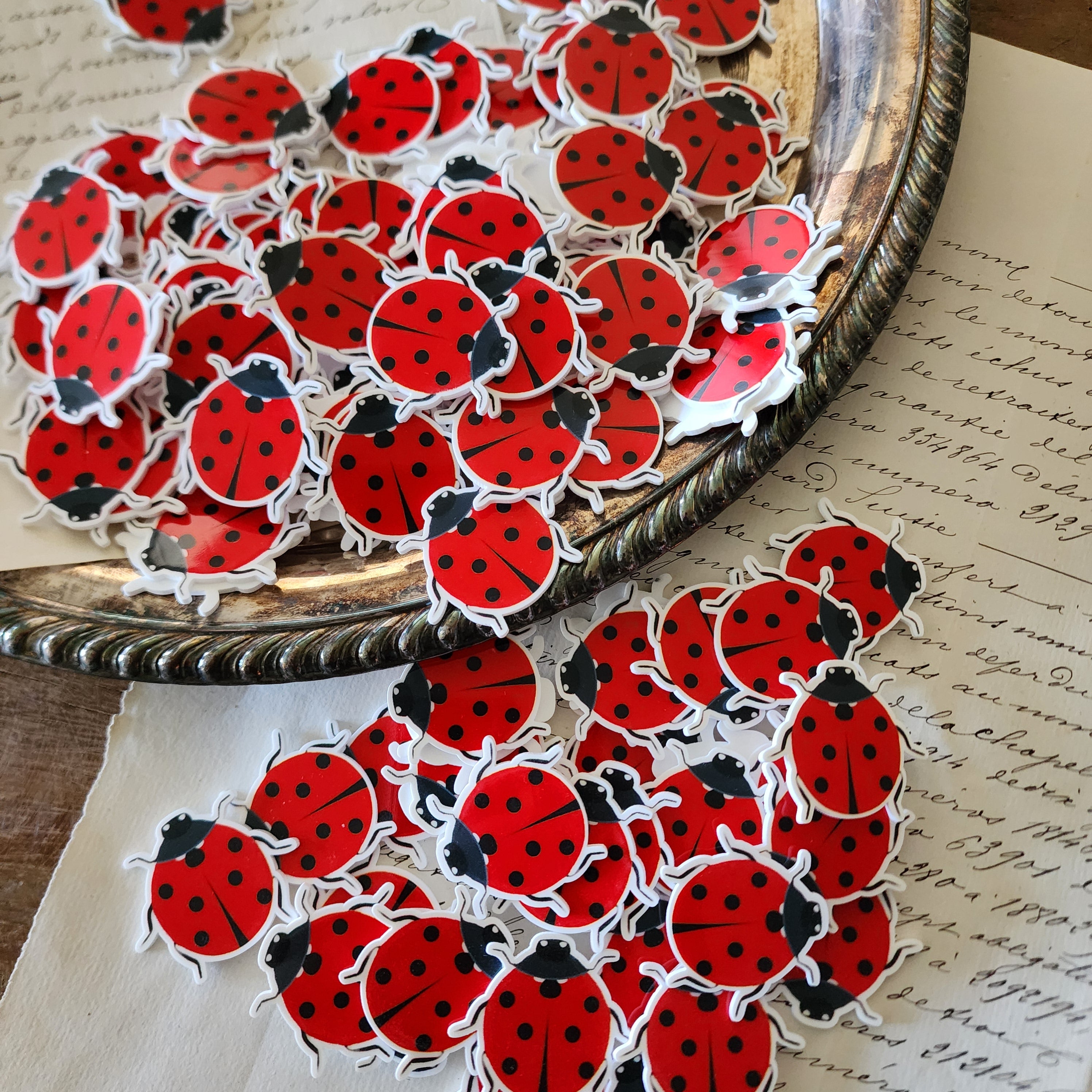 2pc Ladybug Planar Resin C