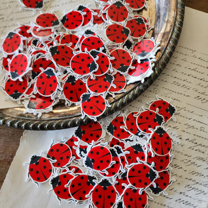 2pc Ladybug Planar Resin C