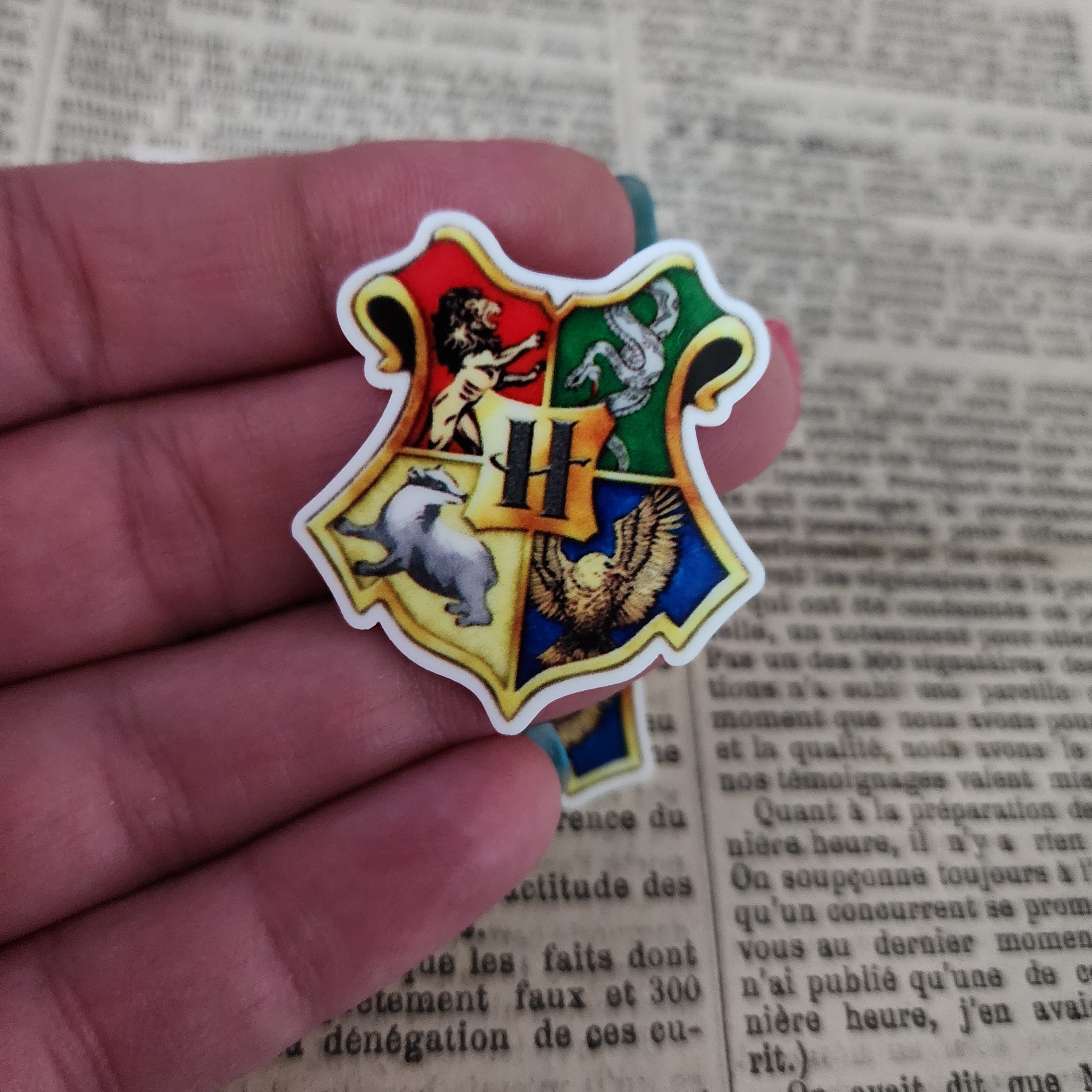 2pc Wizard Crest Planar Resin