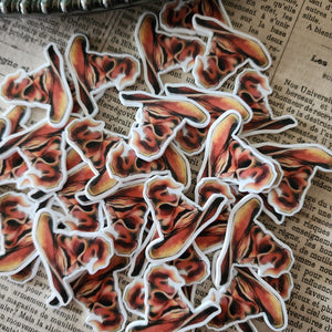 2pc Wizard Planar Resin