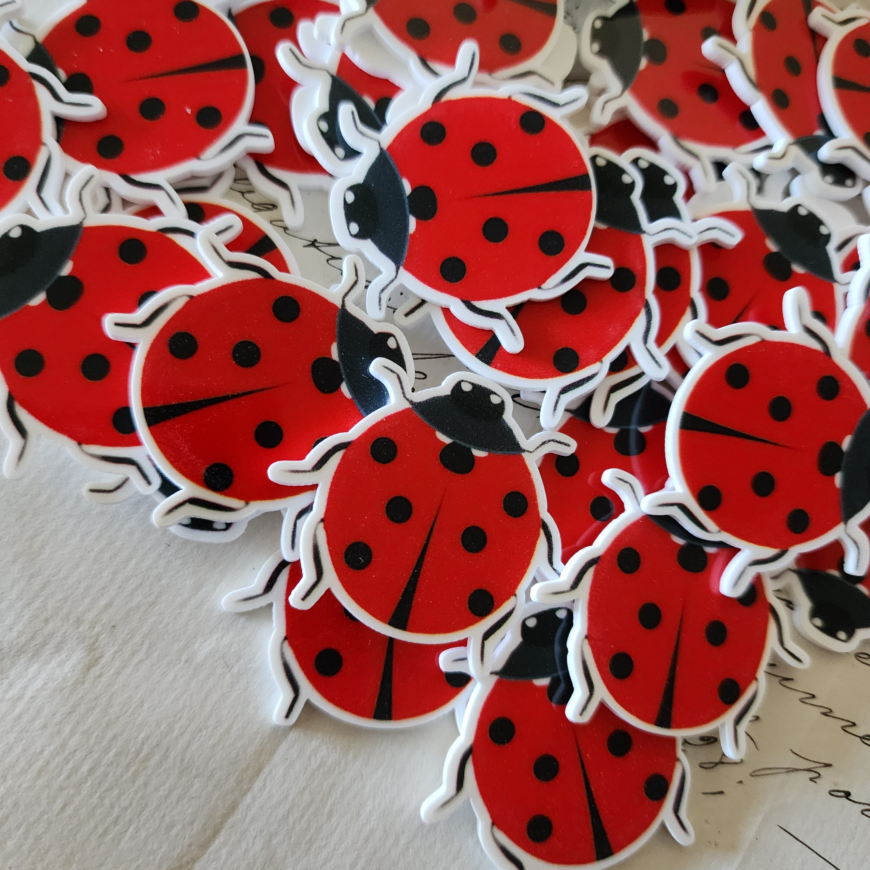 2pc Ladybug Planar Resin C