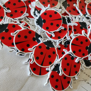 2pc Ladybug Planar Resin C