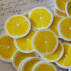 2pc Lemon Slice Planar Resin