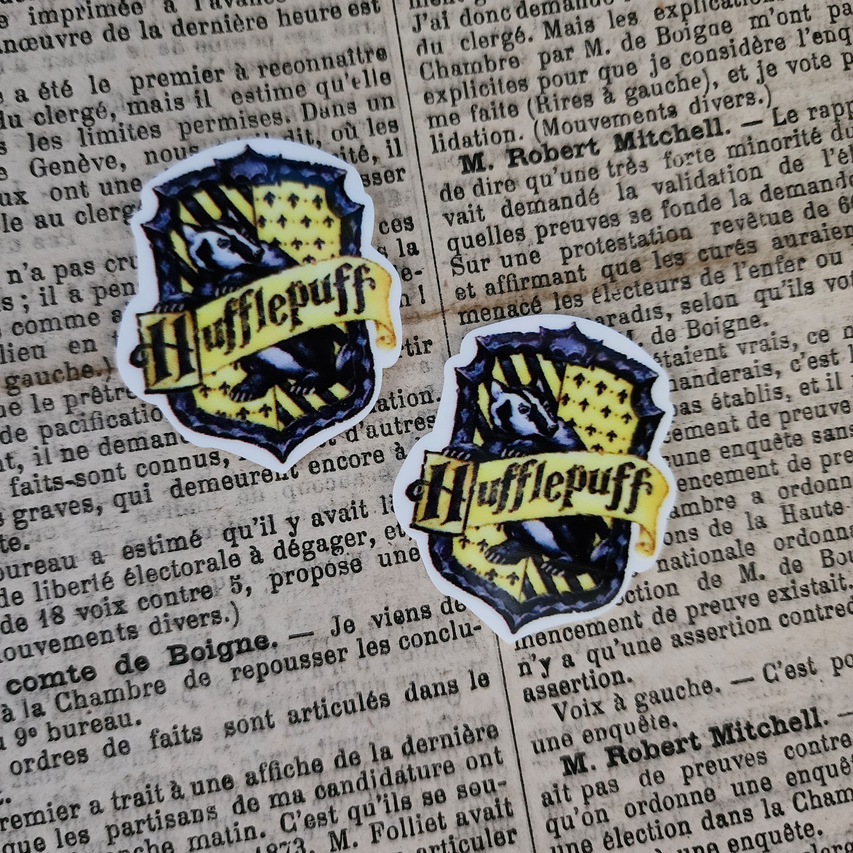 2pc House of the Badger Planar Resin