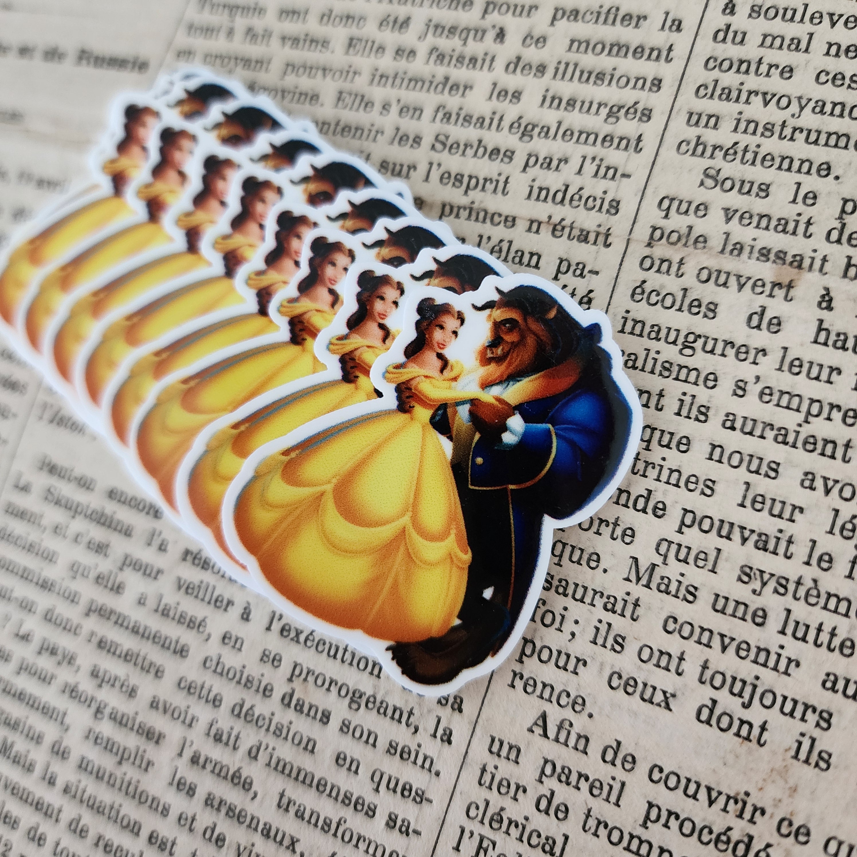 2pc Beauty and Her Beast Planar Resin