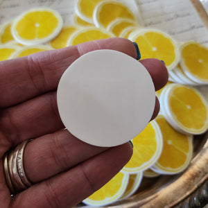 2pc Lemon Slice Planar Resin