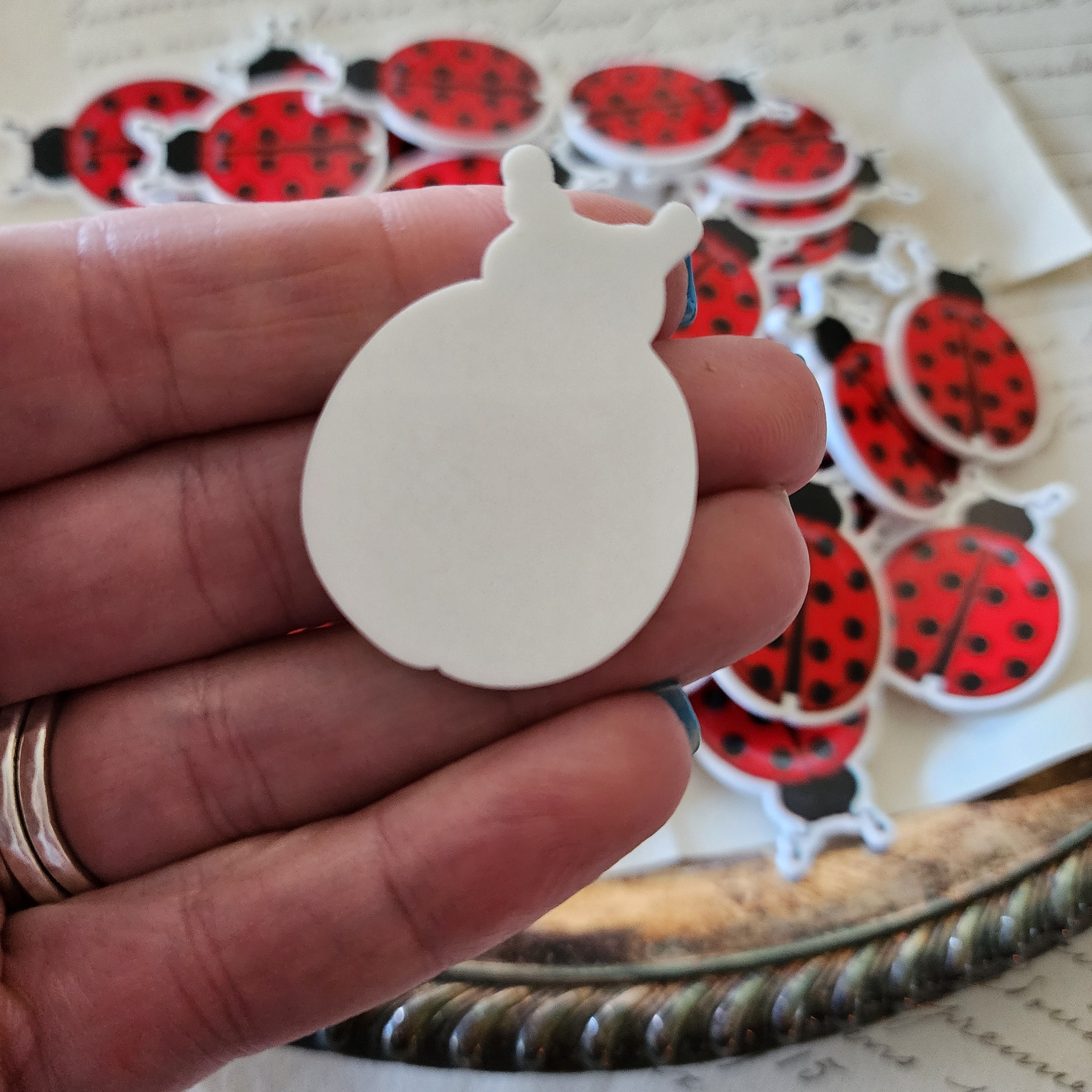 2pc Ladybug Planar Resin B