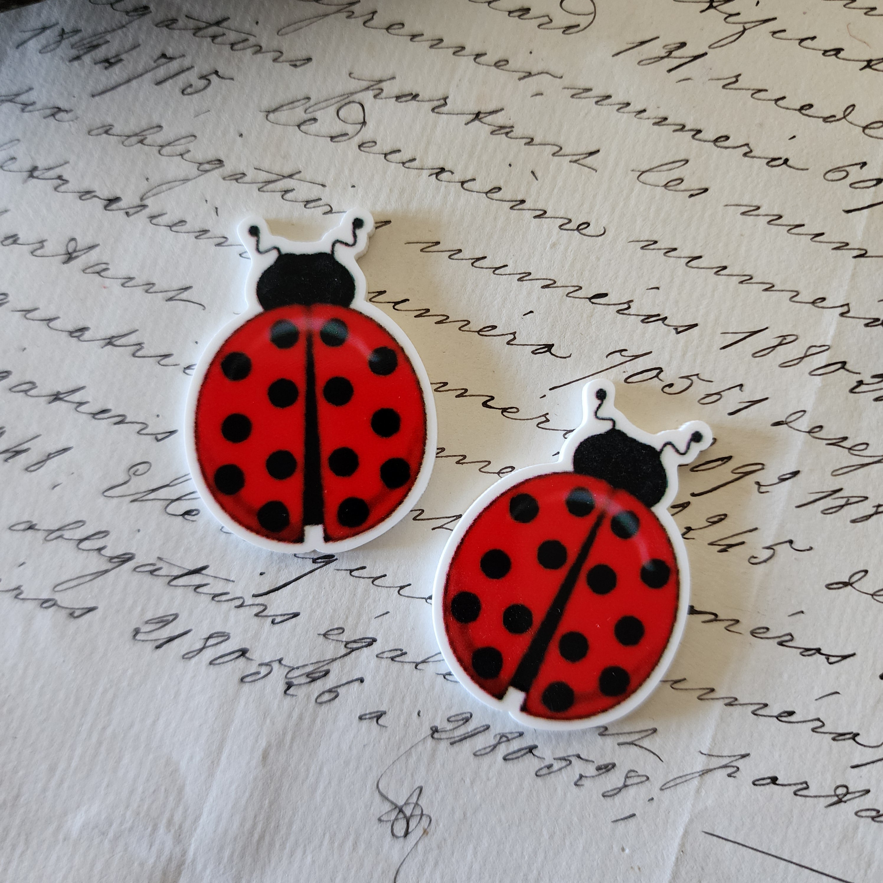 2pc Ladybug Planar Resin B