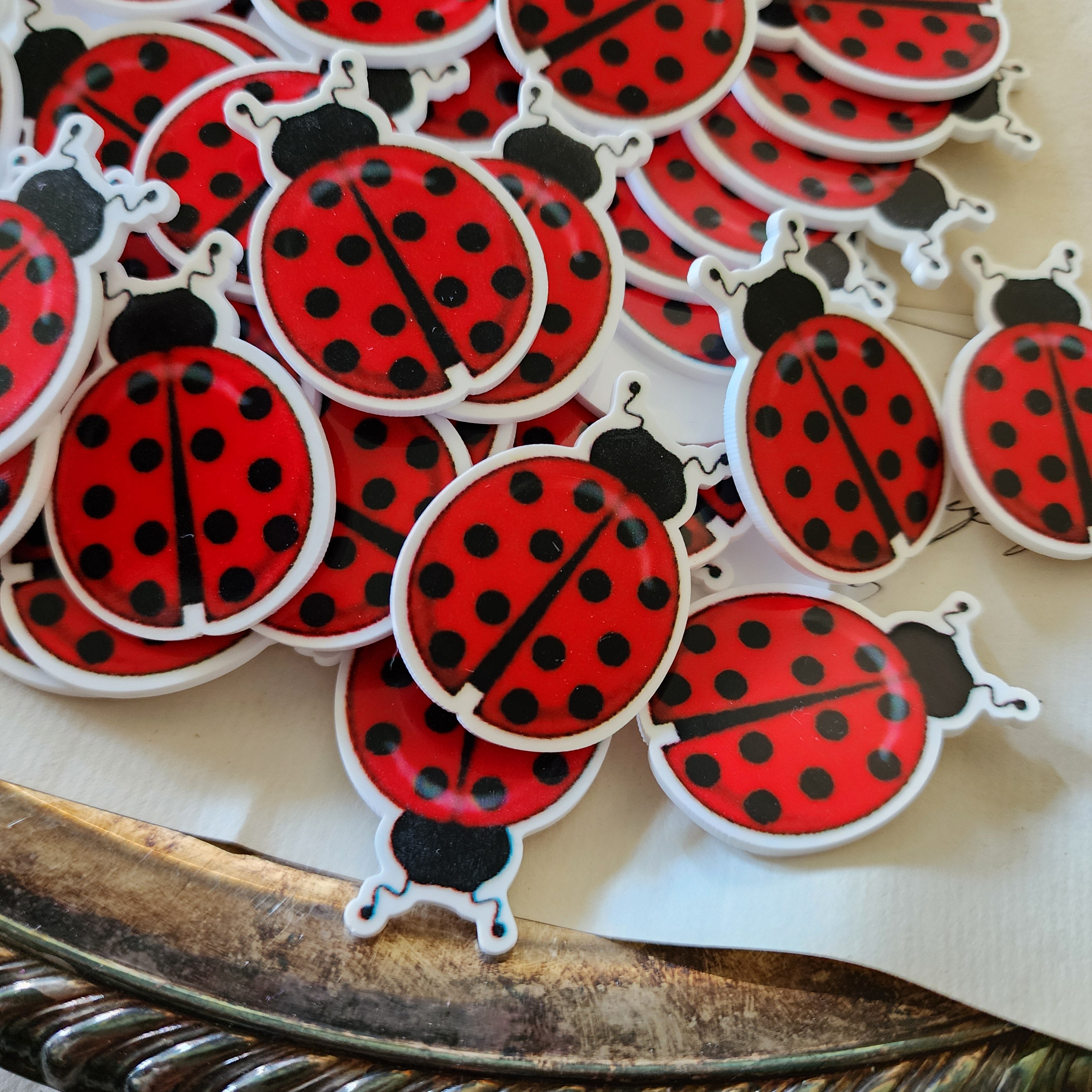 2pc Ladybug Planar Resin B