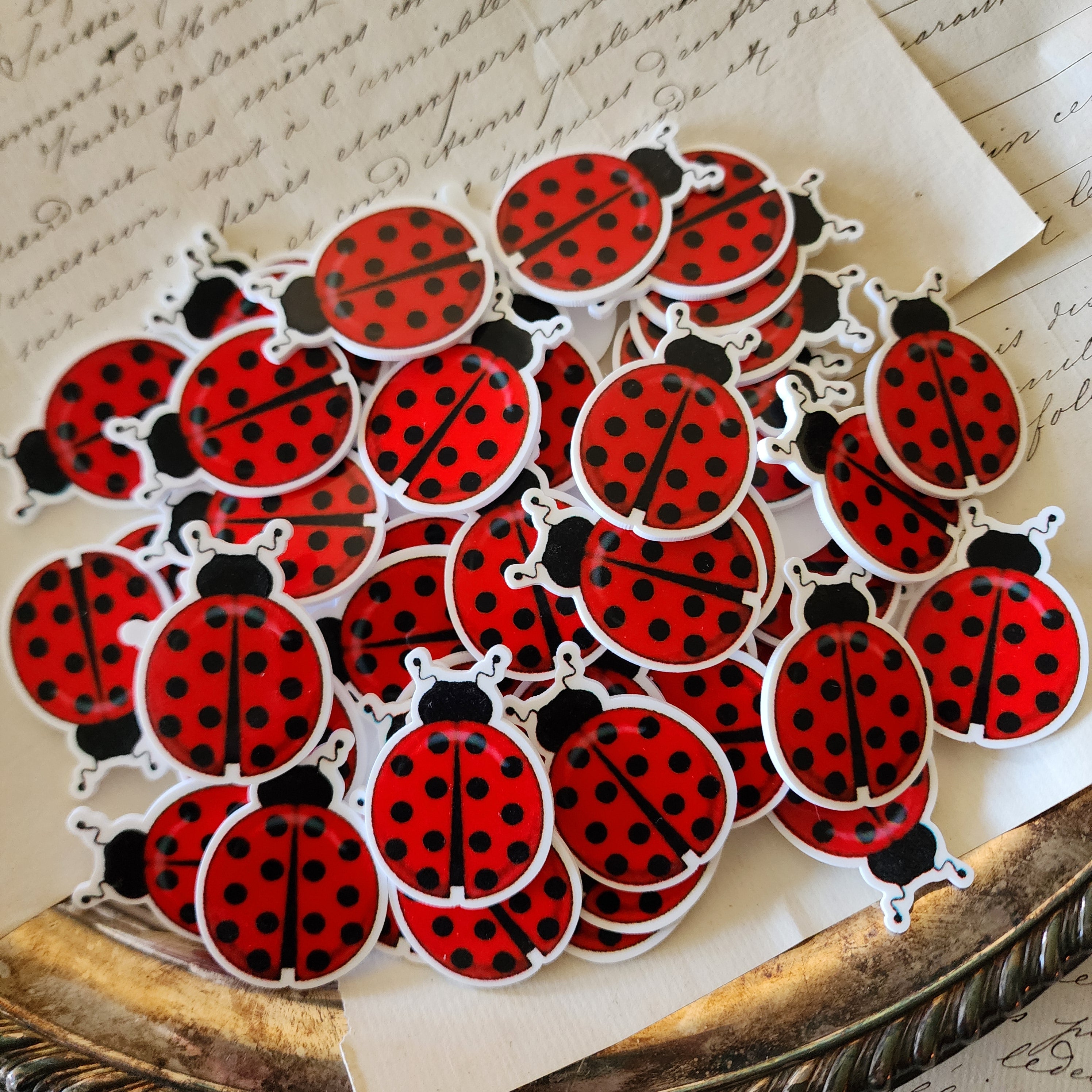 2pc Ladybug Planar Resin B