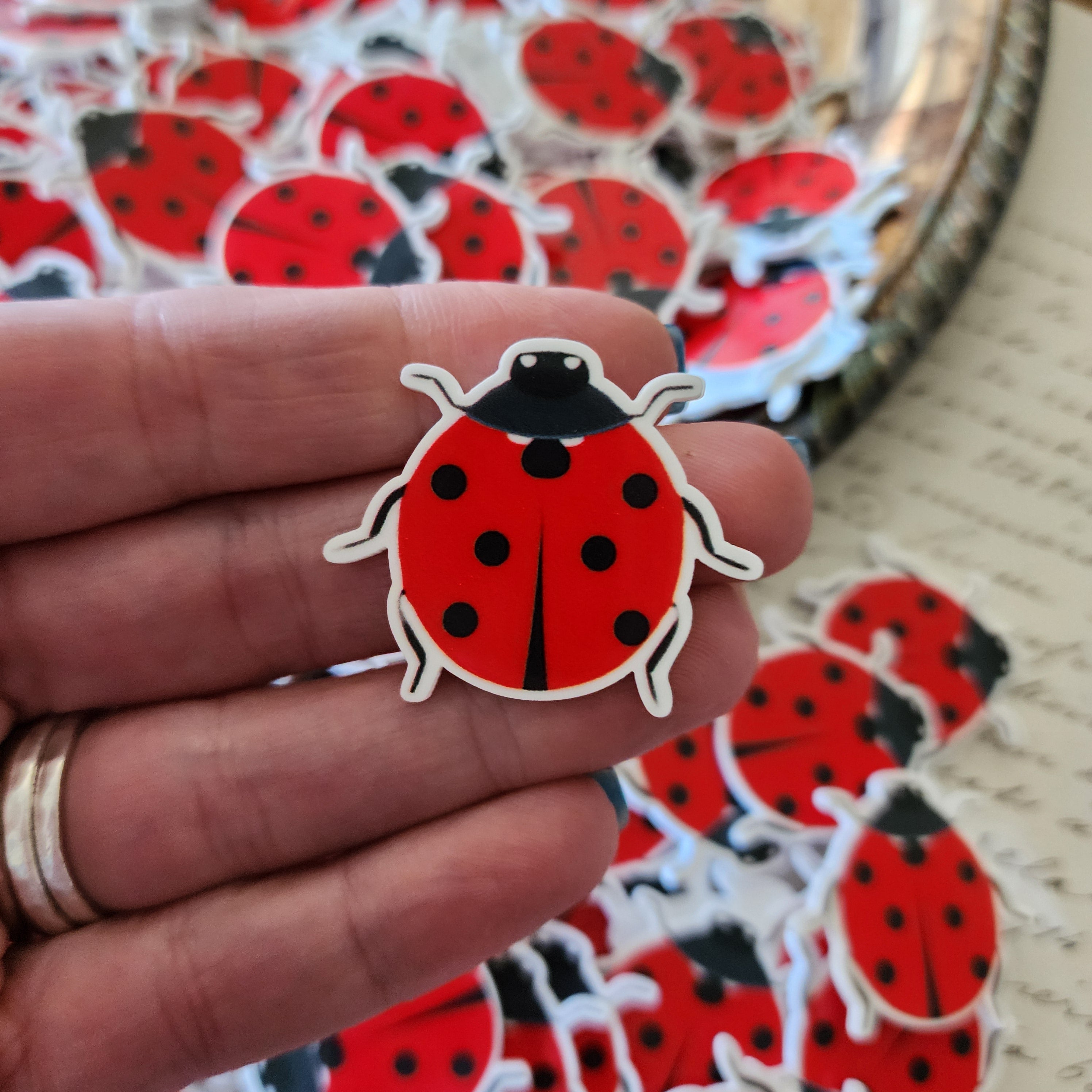 2pc Ladybug Planar Resin C