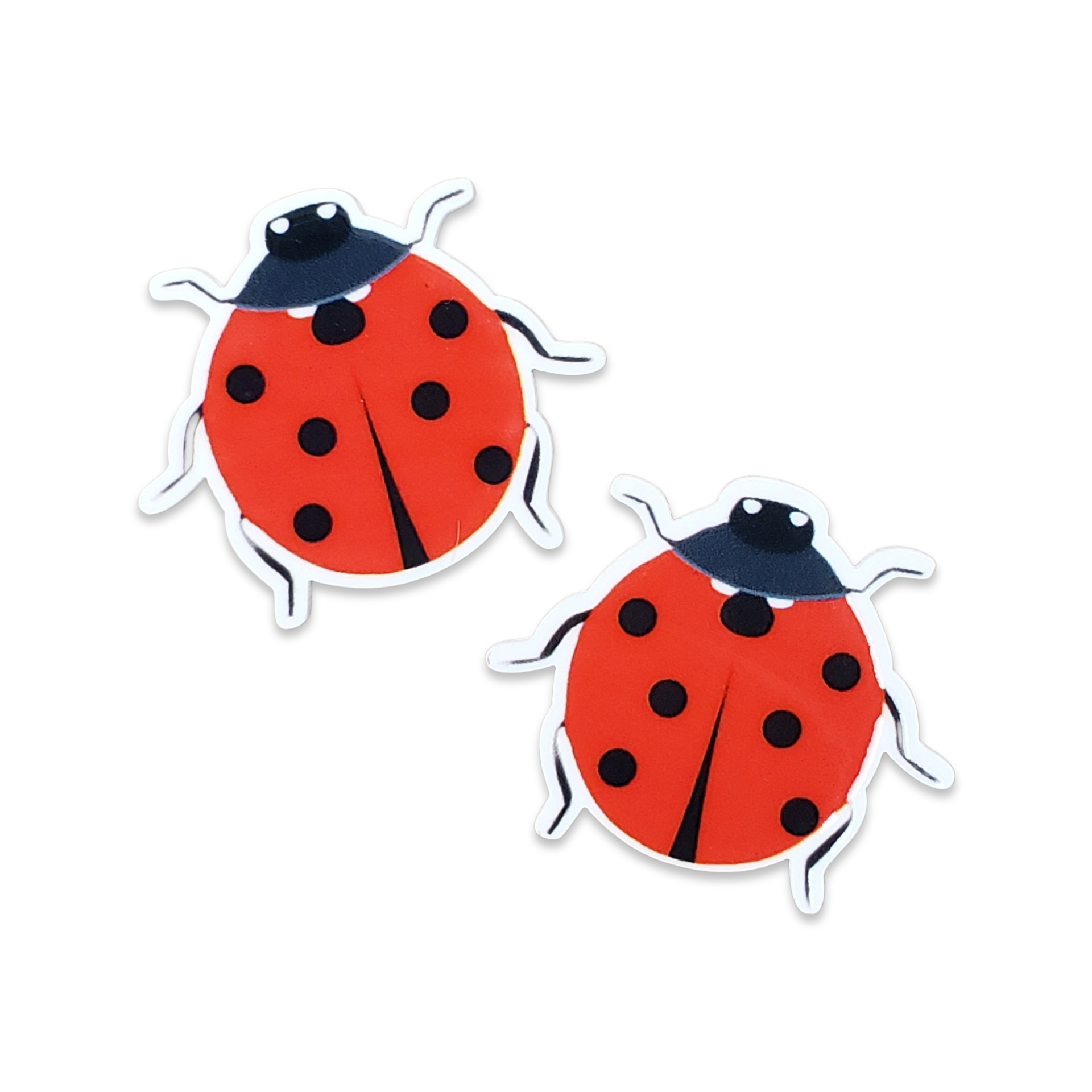 2pc Ladybug Planar Resin C