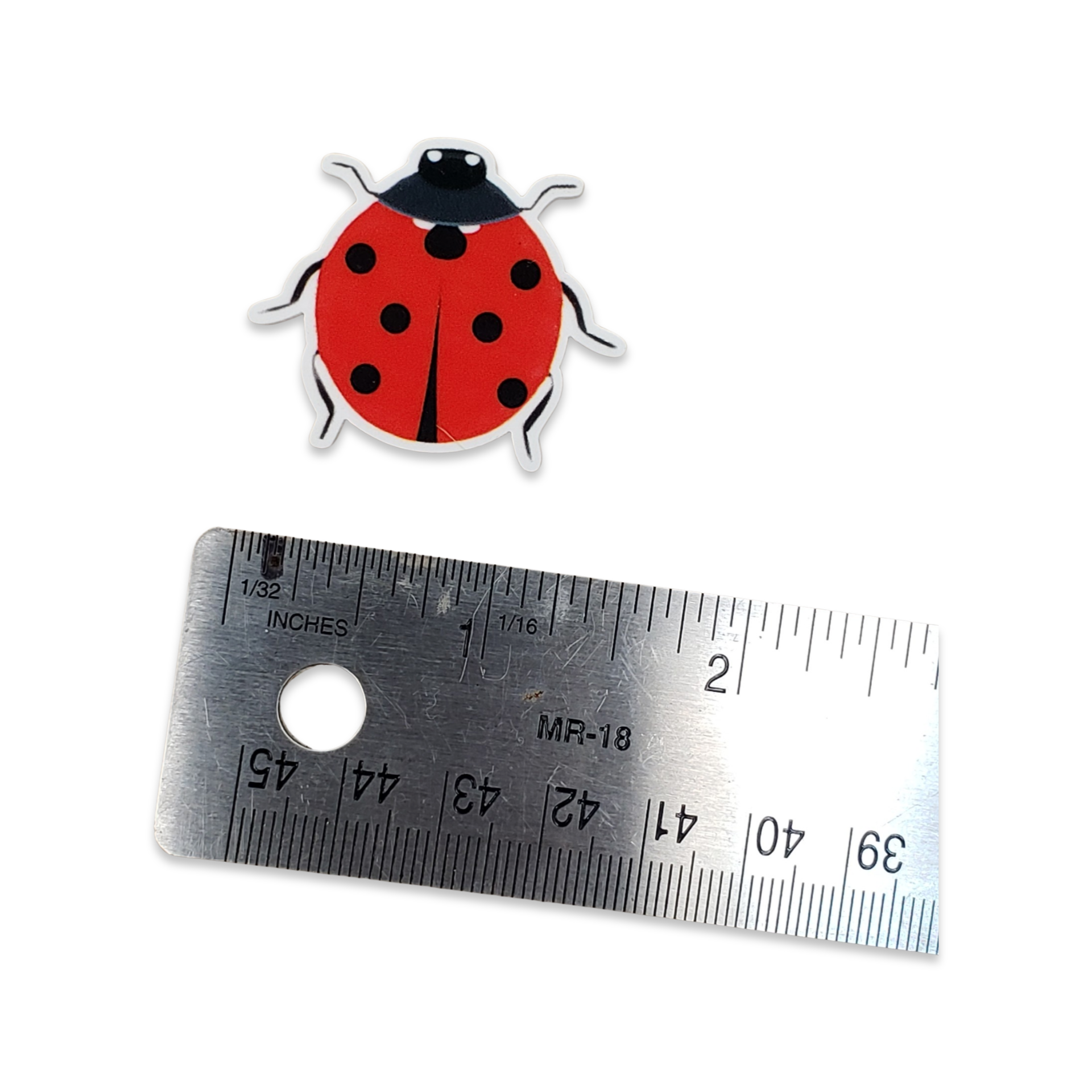 2pc Ladybug Planar Resin C