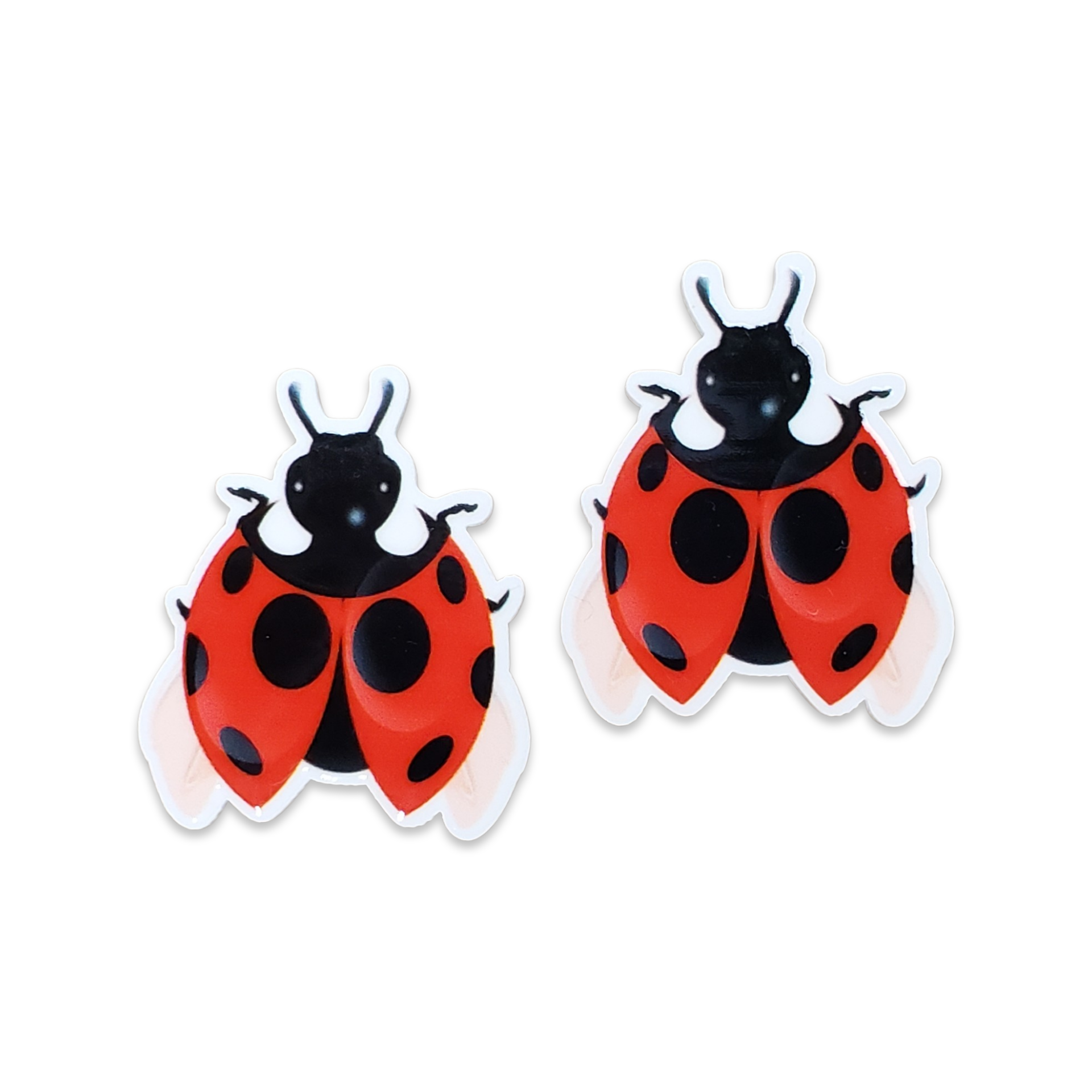 2pc Ladybug Planar Resin A