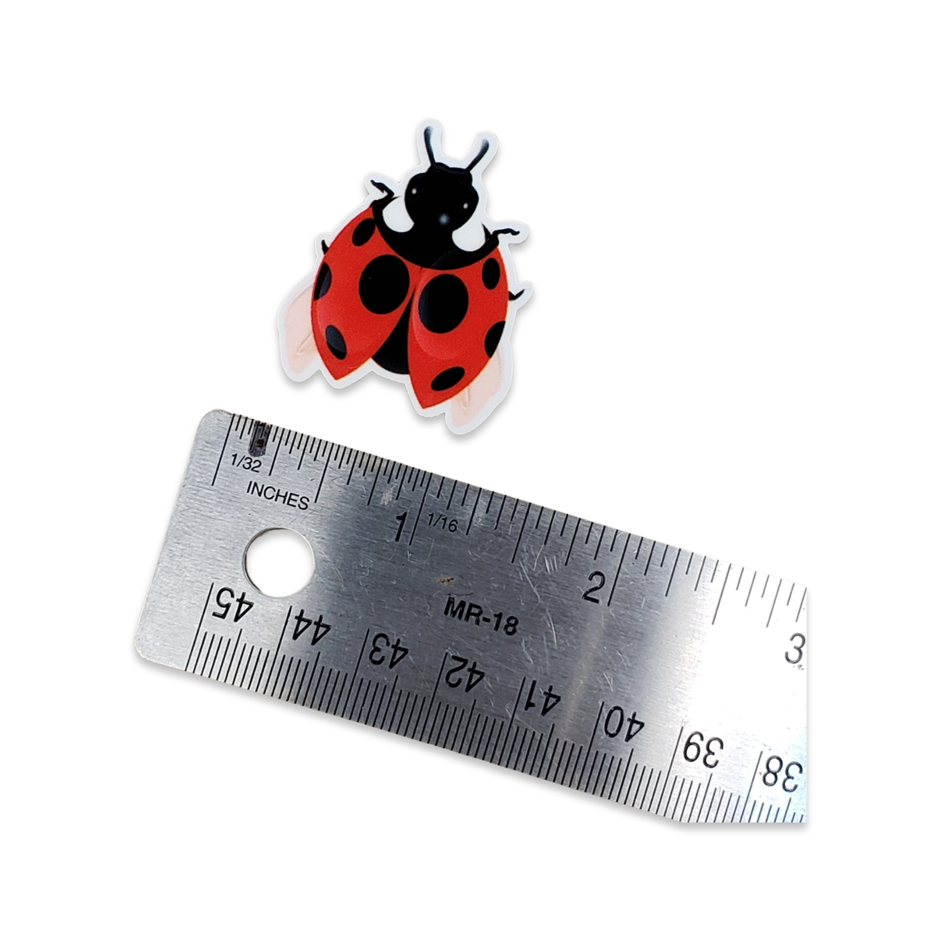 2pc Ladybug Planar Resin A