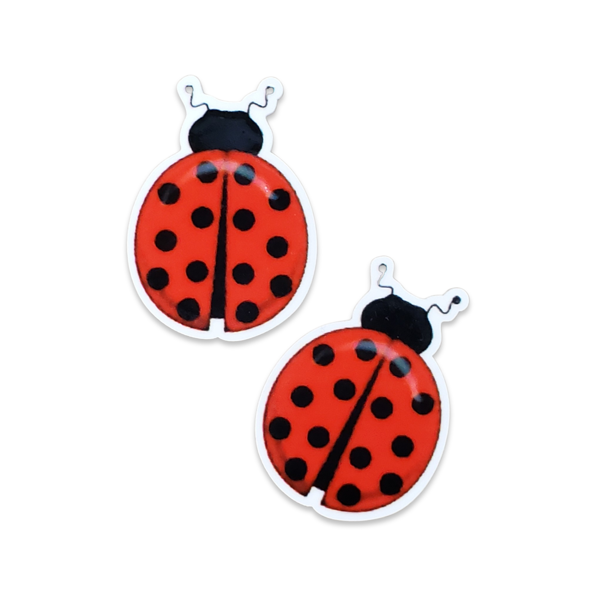 2pc Ladybug Planar Resin B