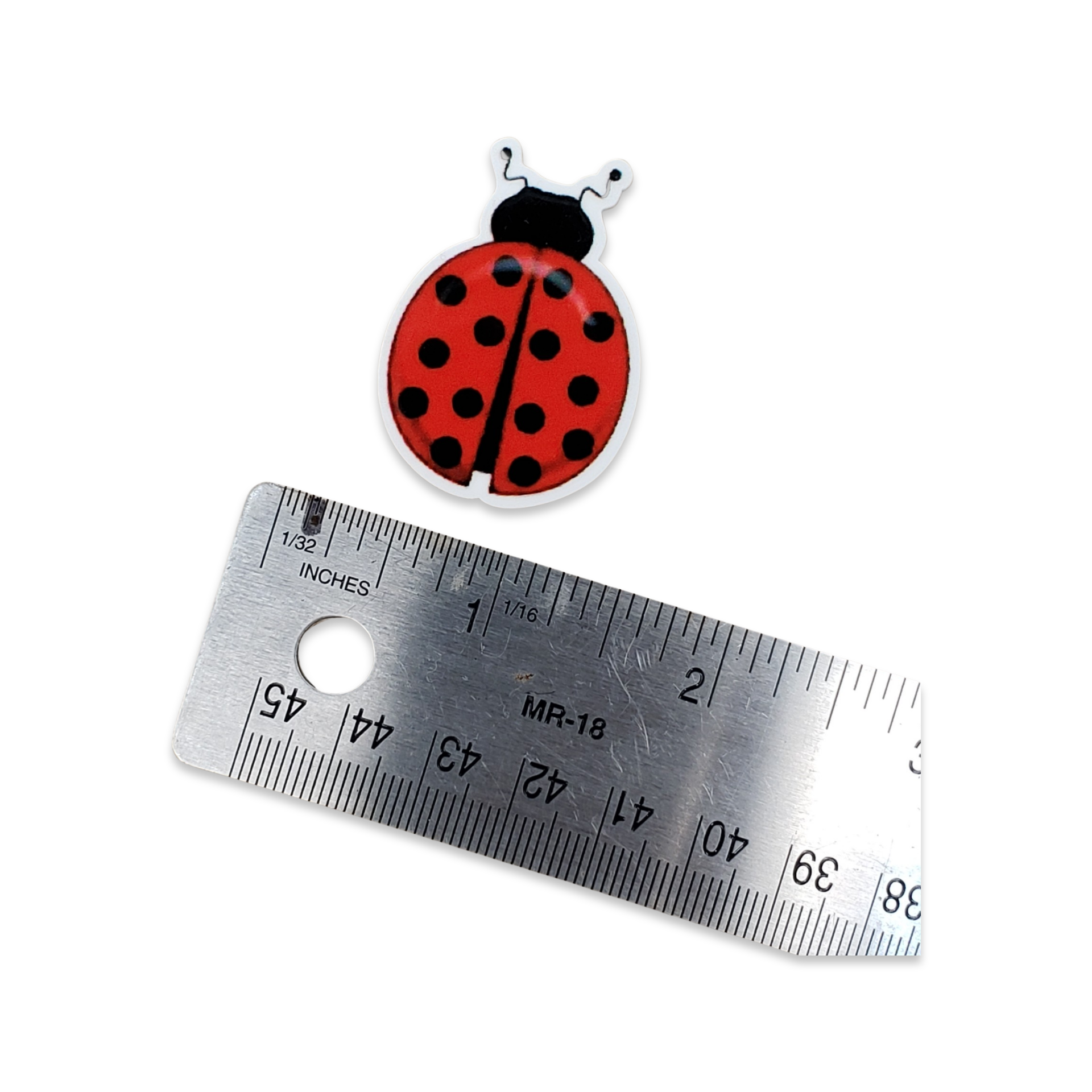 2pc Ladybug Planar Resin B